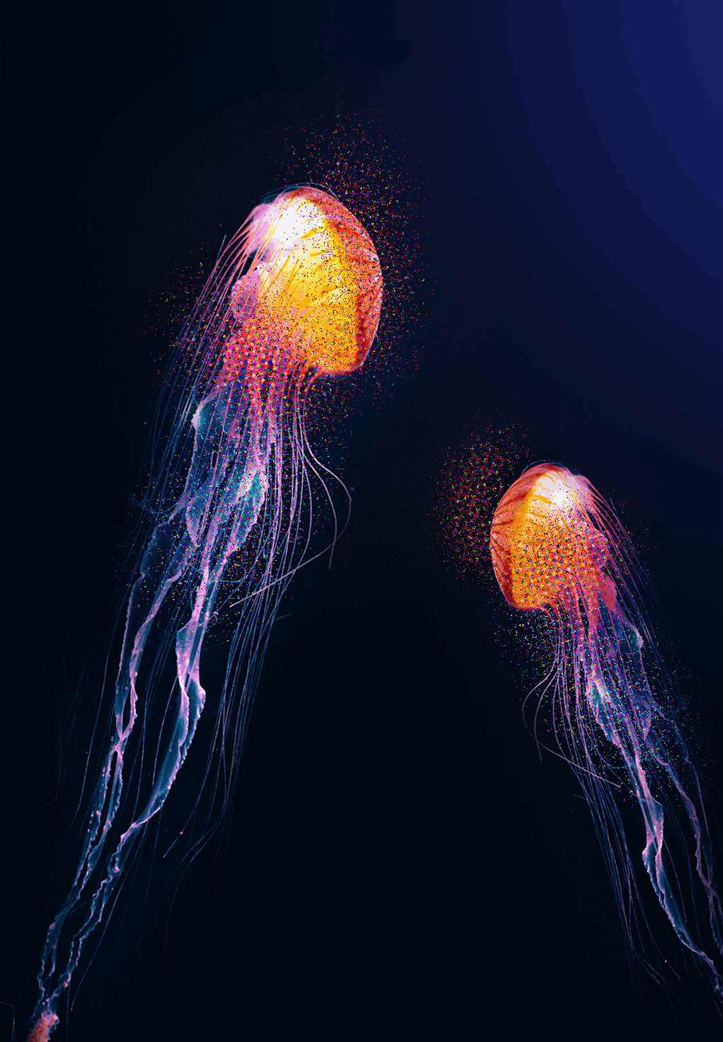 Magic jelly